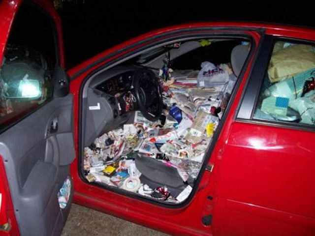 Meet the 11 most fascinating 4-wheel garbage bins